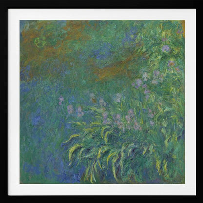 Irises By Claude Monet - Poster / Art Print