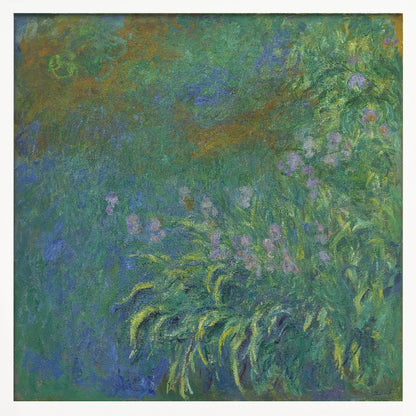 Irises By Claude Monet - Poster / Art Print
