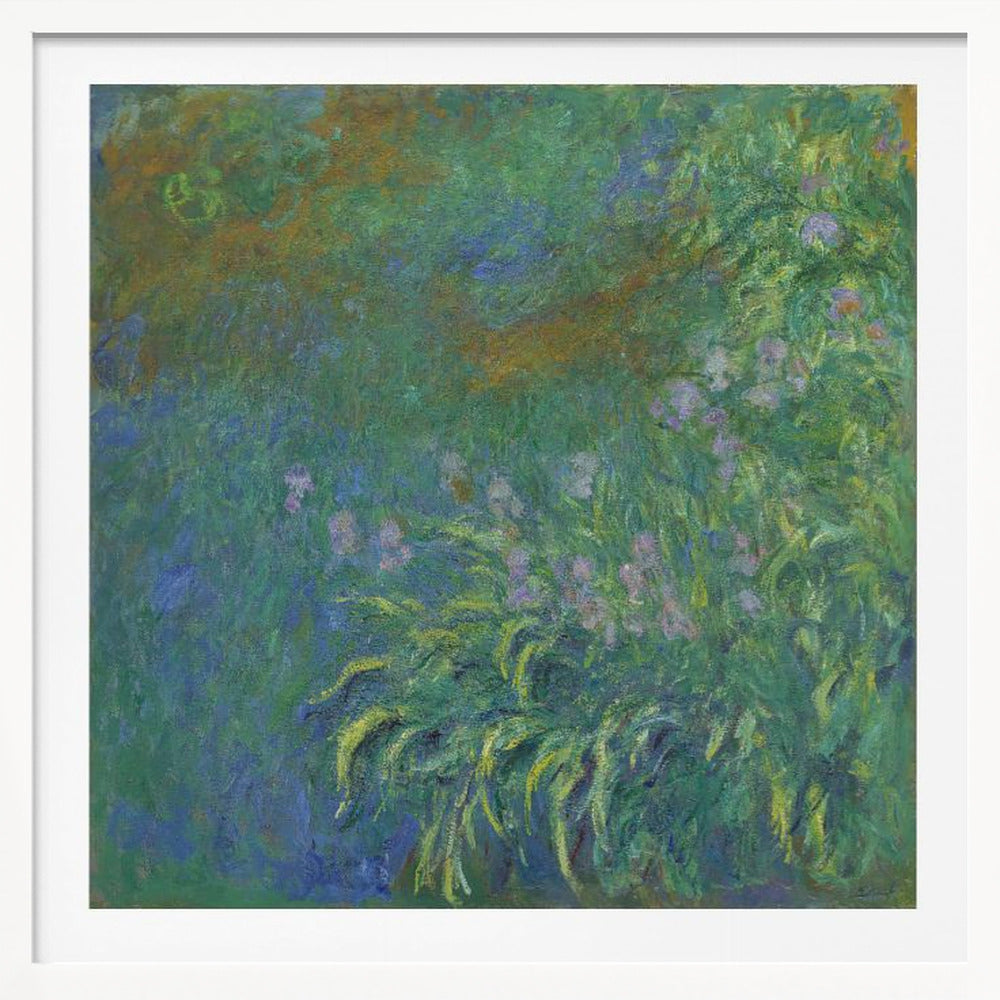 Irises By Claude Monet - Poster / Art Print