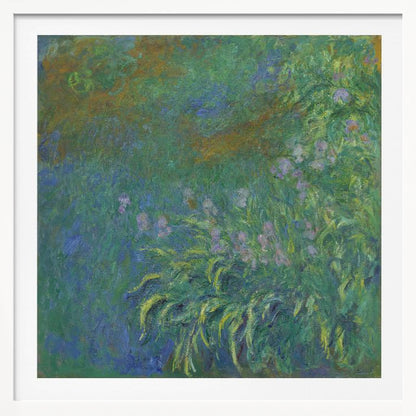Irises By Claude Monet - Poster / Art Print