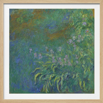 Irises By Claude Monet - Poster / Art Print