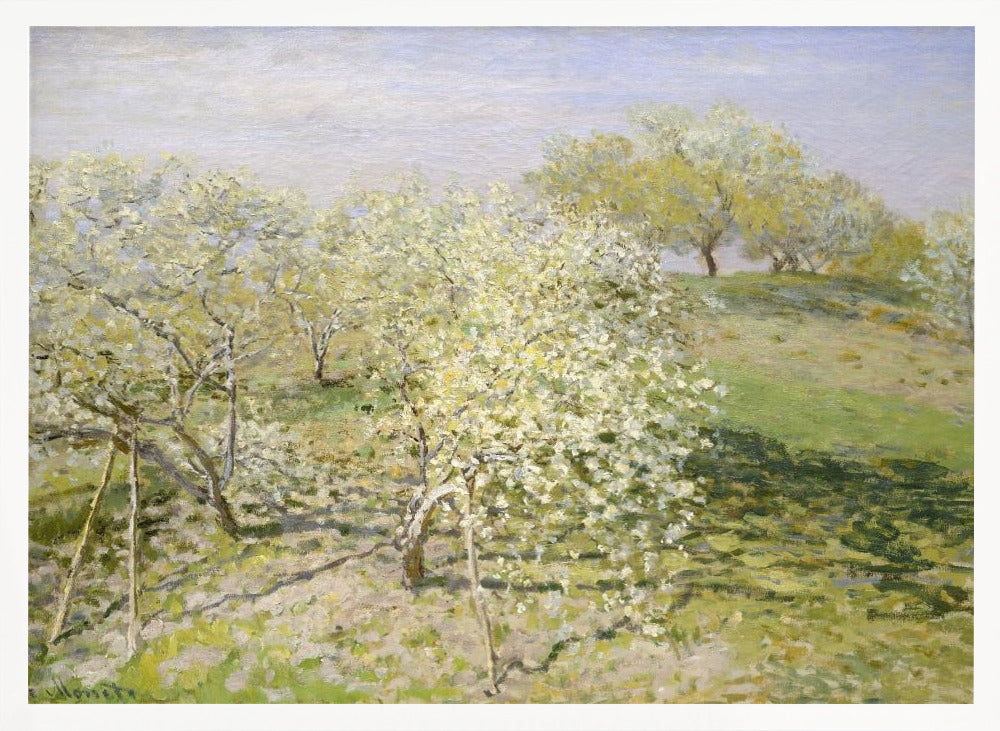 Spring (fruit Trees In Bloom) (1873) By Claude Monet - Poster / Art Print