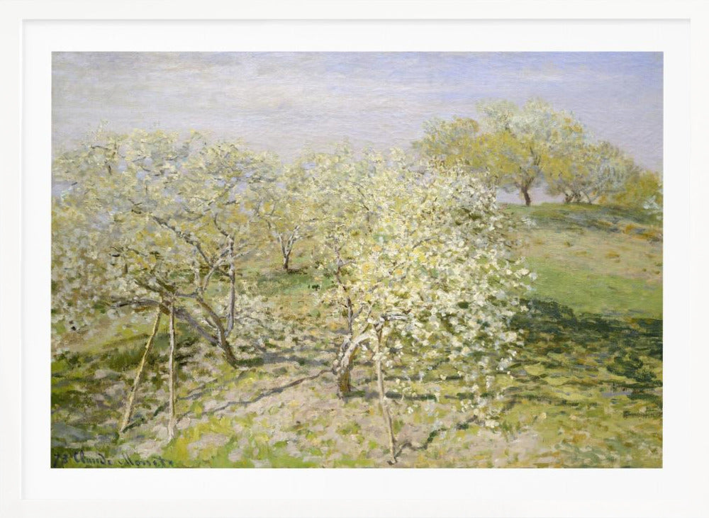 Spring (fruit Trees In Bloom) (1873) By Claude Monet - Poster / Art Print