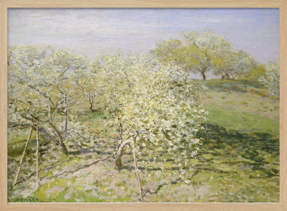 Spring (fruit Trees In Bloom) (1873) By Claude Monet - Poster / Art Print