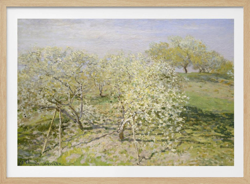 Spring (fruit Trees In Bloom) (1873) By Claude Monet - Poster / Art Print