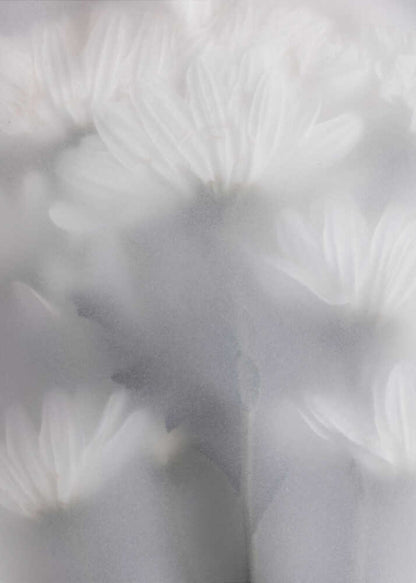 Blurred Flowers 6 - Poster / Art Print