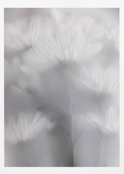 Blurred Flowers 6 - Poster / Art Print