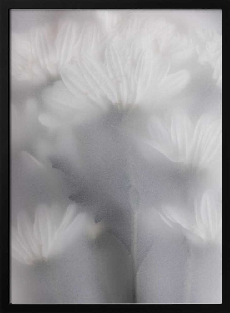Blurred Flowers 6 - Poster / Art Print