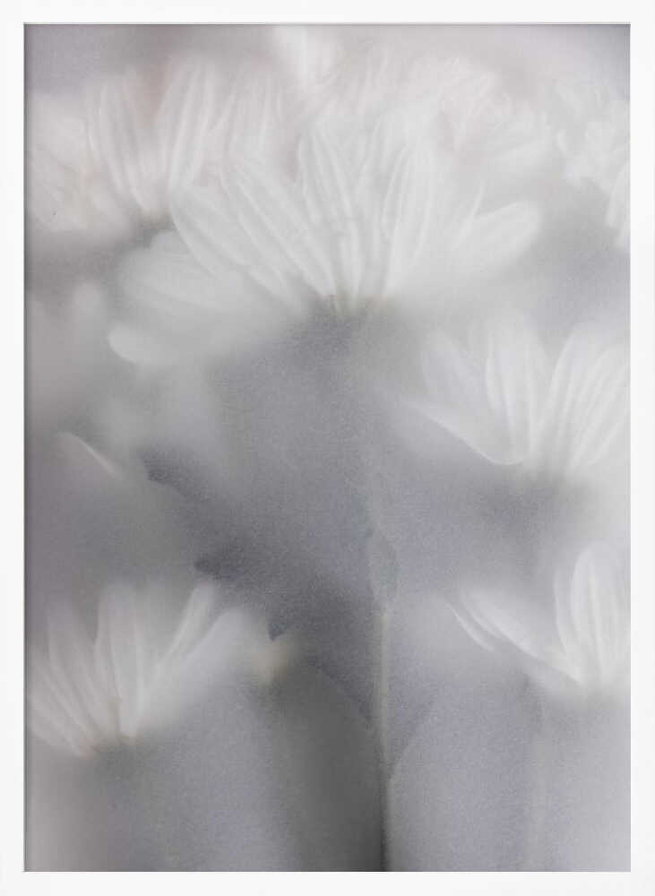 Blurred Flowers 6 - Poster / Art Print