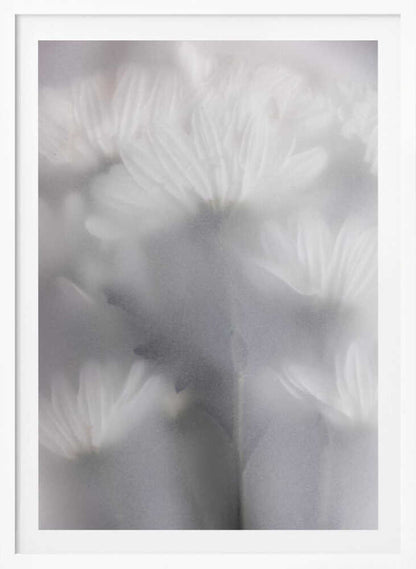 Blurred Flowers 6 - Poster / Art Print