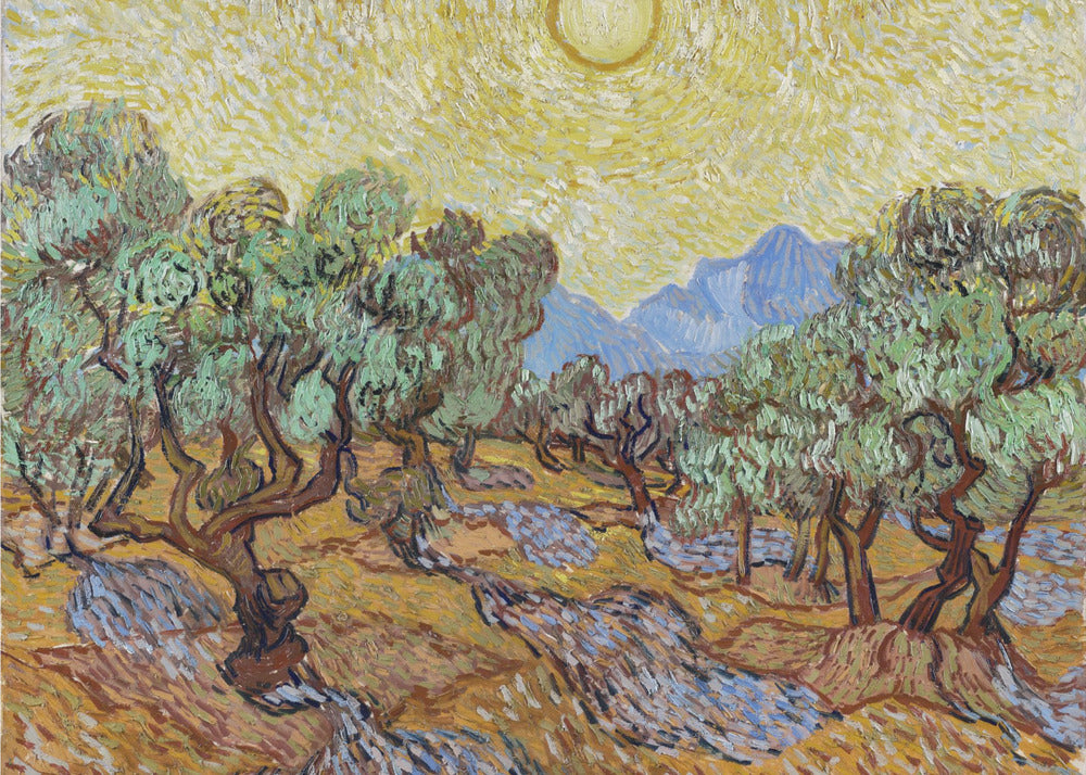 Vincent Van Gogh's Olive Trees (1889) - Poster / Art Print