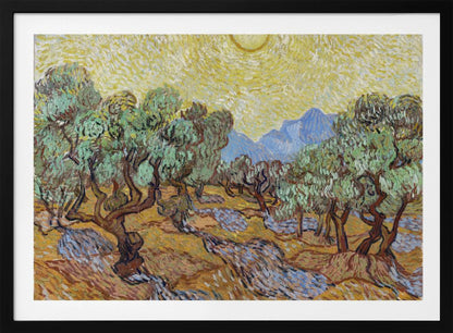 Vincent Van Gogh's Olive Trees (1889) - Poster / Art Print