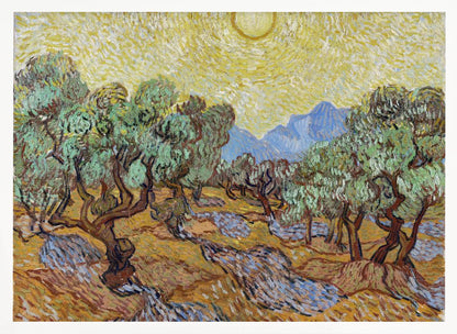 Vincent Van Gogh's Olive Trees (1889) - Poster / Art Print