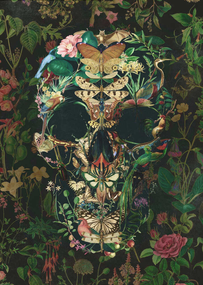 Papillon Skull - Poster / Art Print