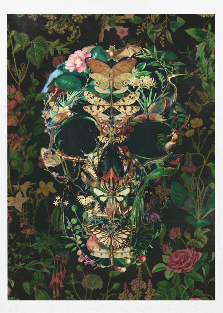 Papillon Skull - Poster / Art Print