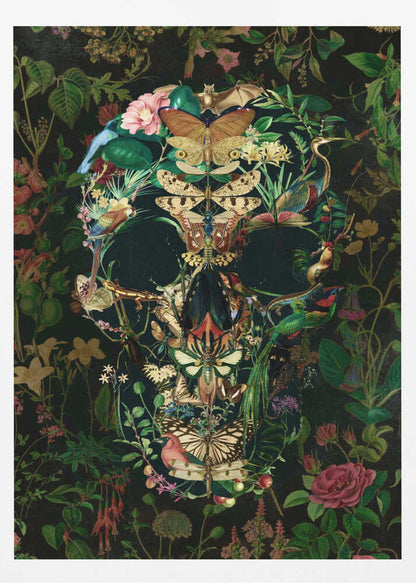 Papillon Skull - Poster / Art Print
