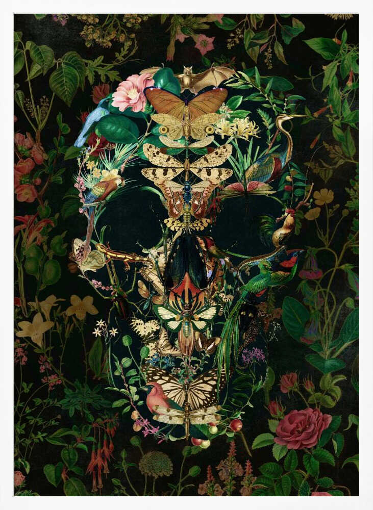 Papillon Skull - Poster / Art Print