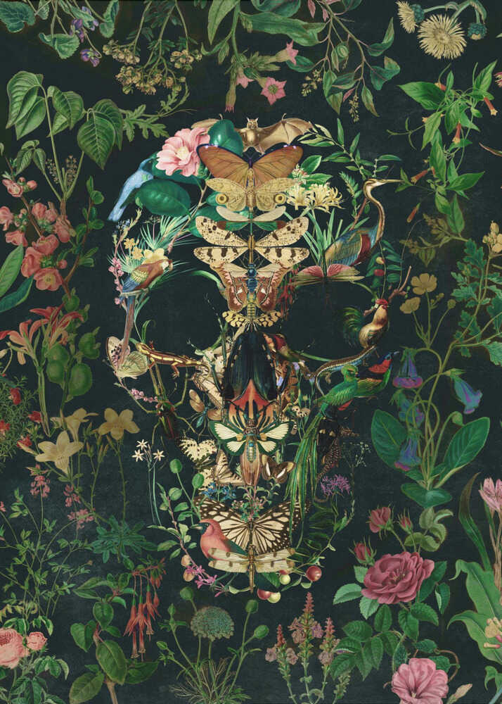Papillon Skull - Poster / Art Print