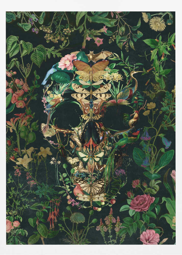Papillon Skull - Poster / Art Print