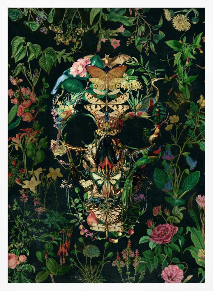 Papillon Skull - Poster / Art Print