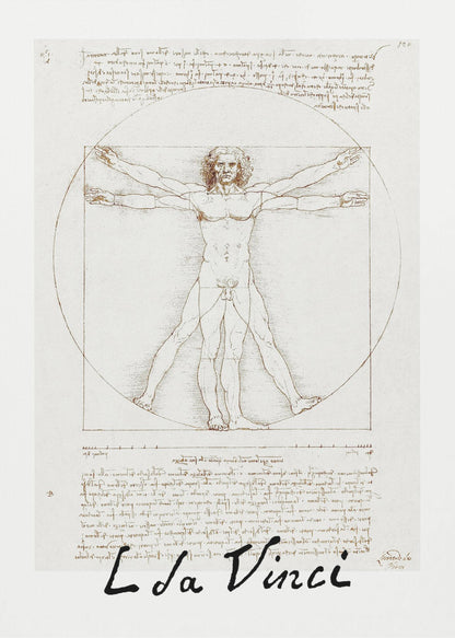 Vitruvian Man Signature - Poster / Art Print