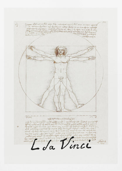 Vitruvian Man Signature - Poster / Art Print