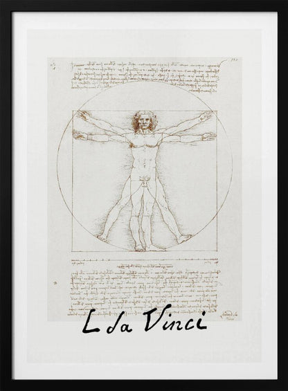 Vitruvian Man Signature - Poster / Art Print