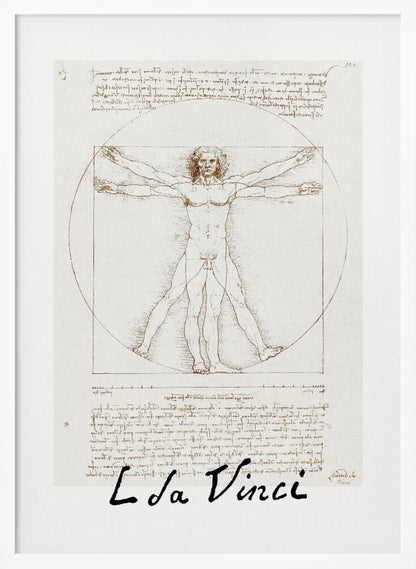 Vitruvian Man Signature - Poster / Art Print