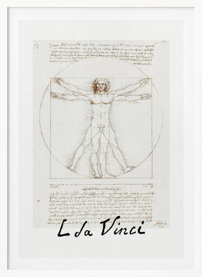 Vitruvian Man Signature - Poster / Art Print