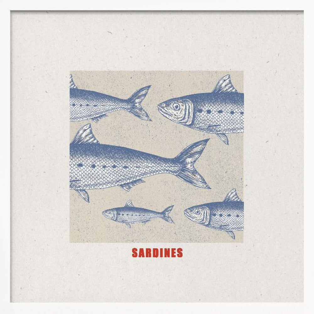 Sardines - Poster / Art Print