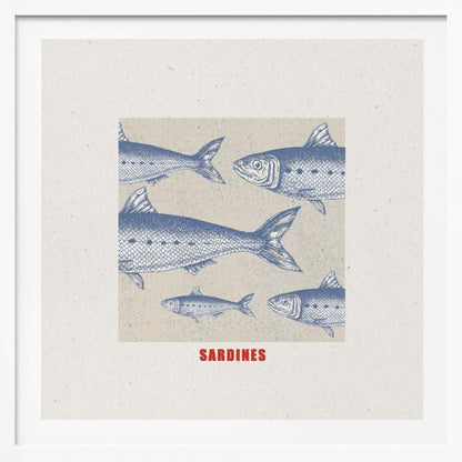 Sardines - Poster / Art Print