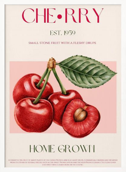 Cherry print - Poster / Art Print