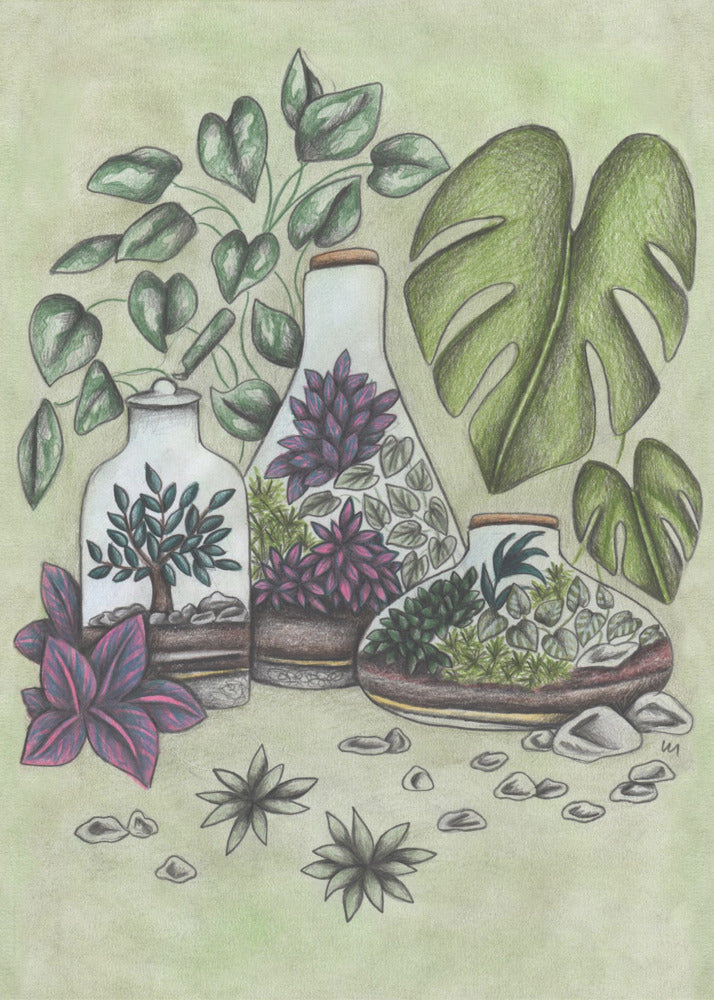 Magical Terrariums - Poster / Art Print