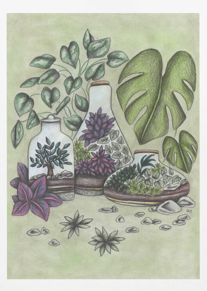 Magical Terrariums - Poster / Art Print
