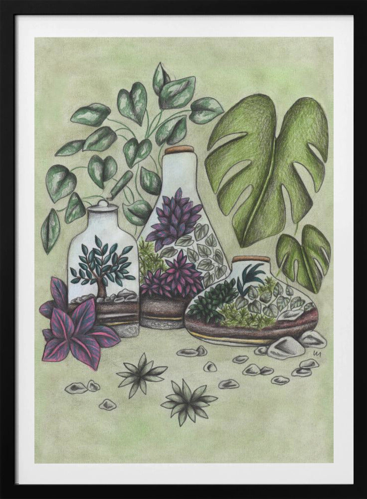 Magical Terrariums - Poster / Art Print