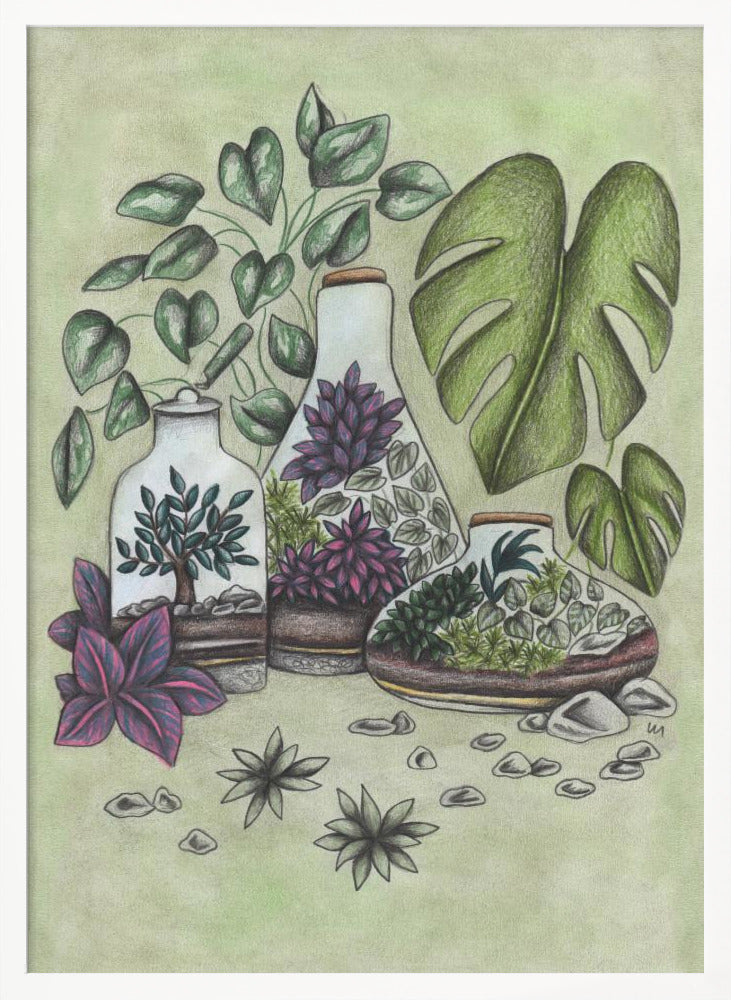 Magical Terrariums - Poster / Art Print