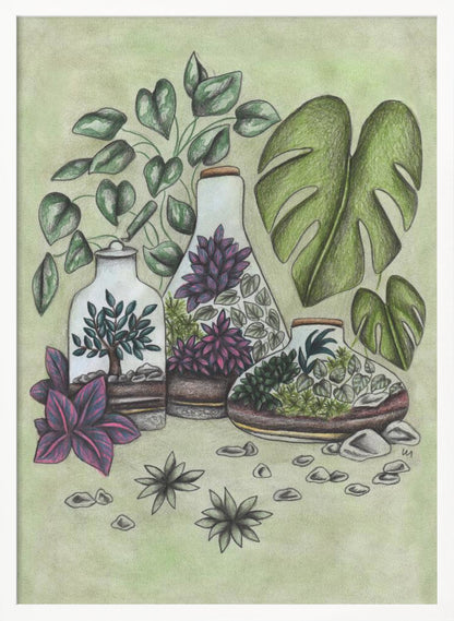 Magical Terrariums - Poster / Art Print