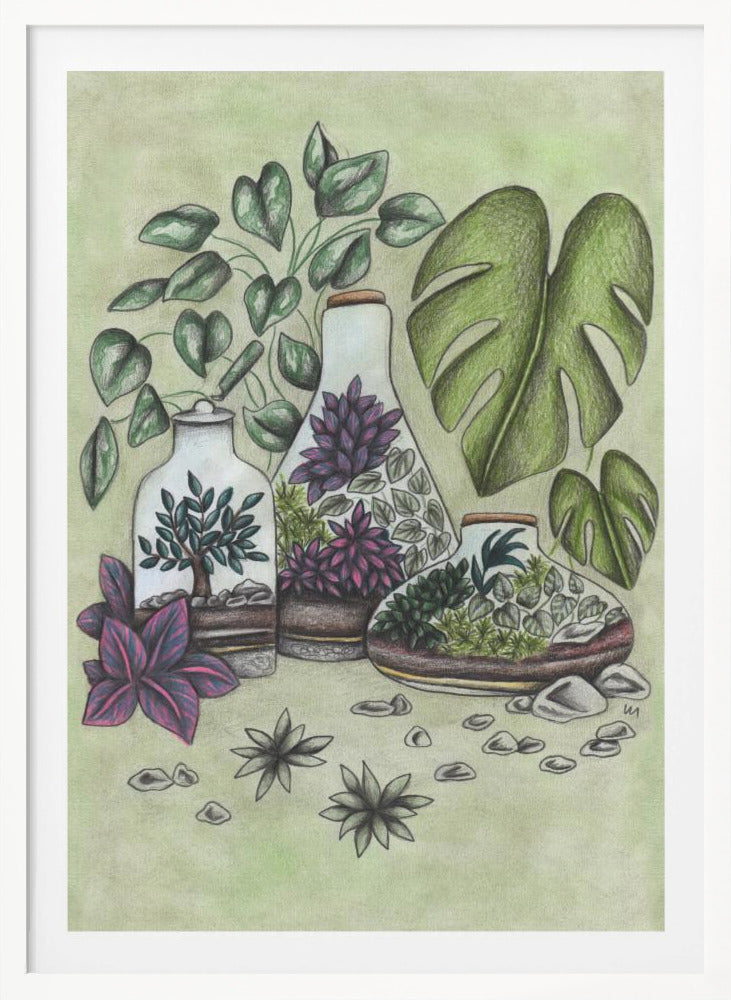 Magical Terrariums - Poster / Art Print