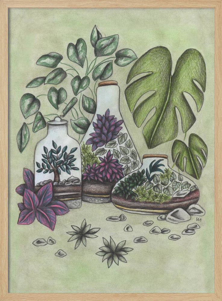 Magical Terrariums - Poster / Art Print
