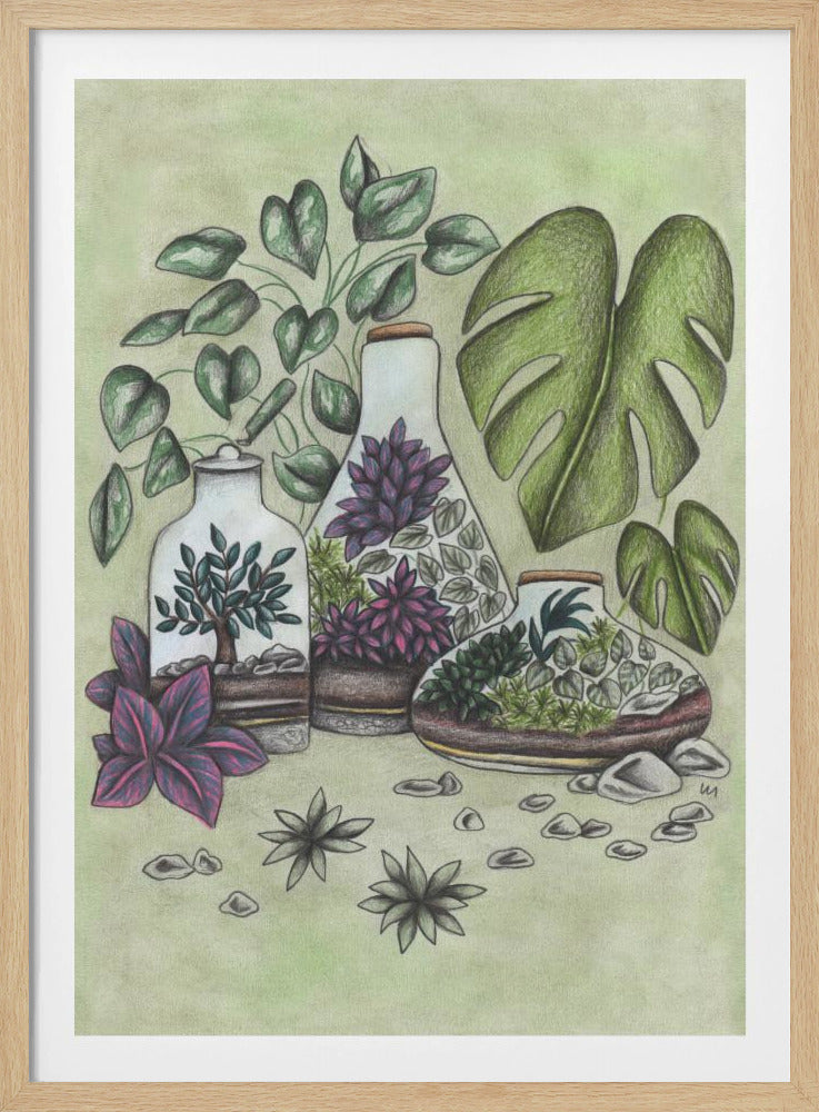 Magical Terrariums - Poster / Art Print