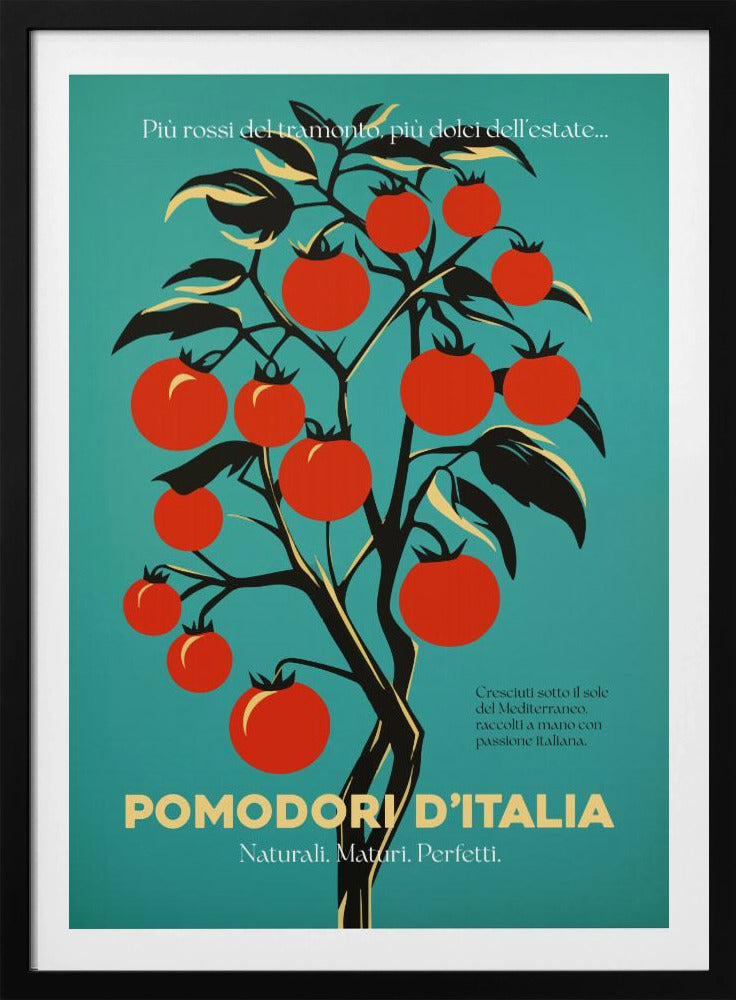 Vibrant Red Tomatoes - Poster / Art Print