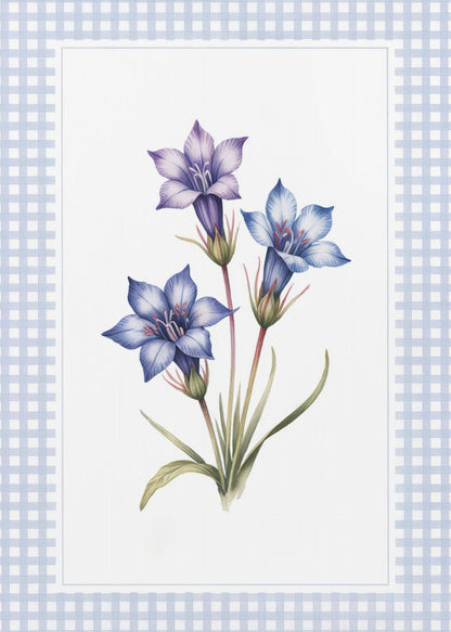 Gentiana Flowers - Poster / Art Print