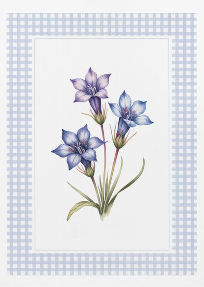 Gentiana Flowers - Poster / Art Print