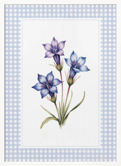 Gentiana Flowers - Poster / Art Print