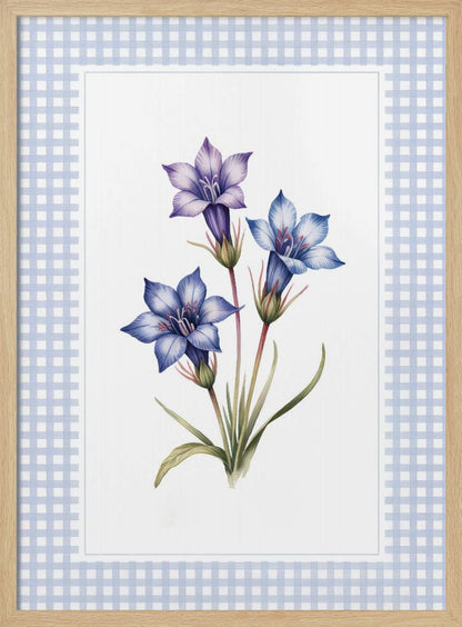 Gentiana Flowers - Poster / Art Print
