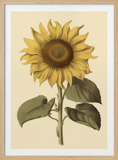 Vintage Sunflower - Poster / Art Print