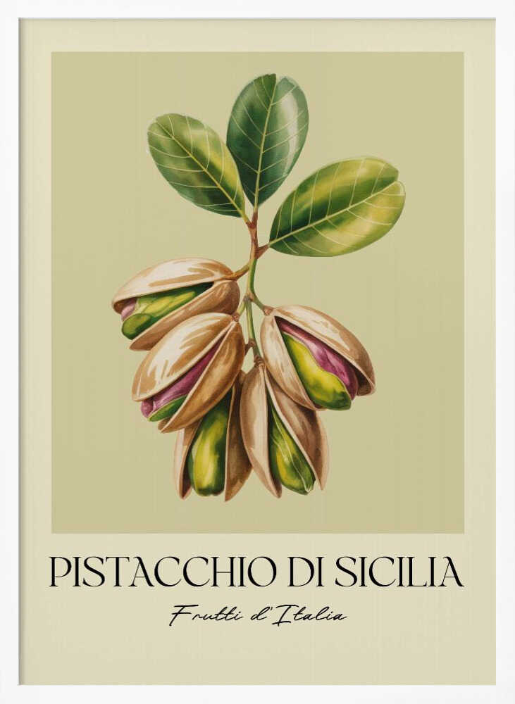 Pistacchio Di Sicilia - Poster / Art Print