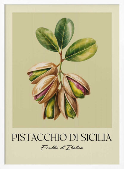 Pistacchio Di Sicilia - Poster / Art Print