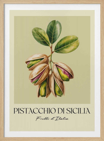 Pistacchio Di Sicilia - Poster / Art Print