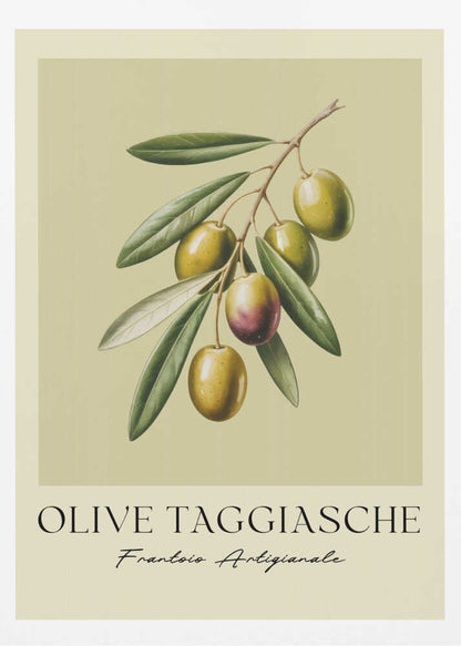 Olive Taggiasche - Poster / Art Print